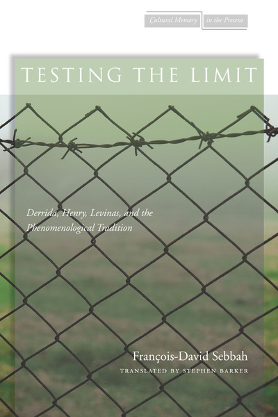 Cover of Testing the Limit by François-David Sebbah Translated by Stephen Barker