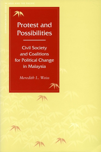 Cover of Protest and Possibilities by Meredith L. Weiss