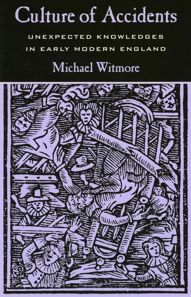 Cover of Culture of Accidents by Michael Witmore